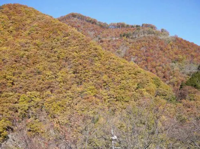 Kainokuni Yamato Nature School