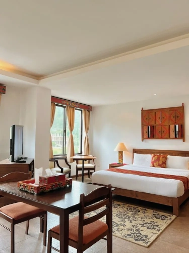 Premium room with city view