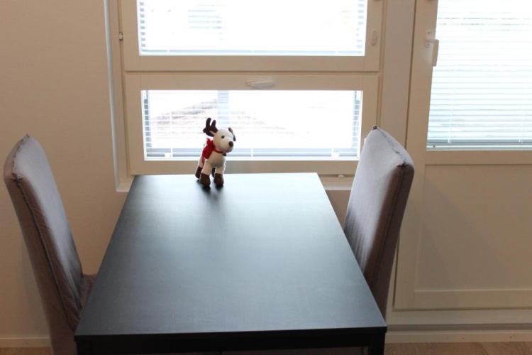 Double Apartment