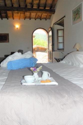 Standard Double room with view