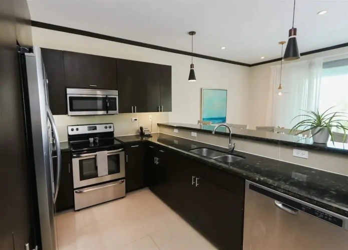 Luxury Apartment