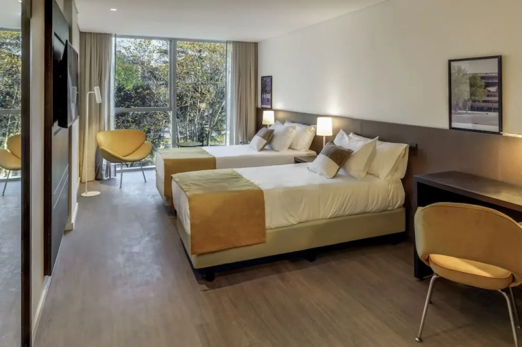 Classic Twin room with city view