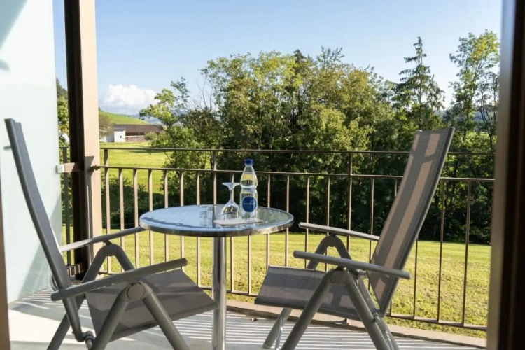 Standard Twin room with balcony and with view