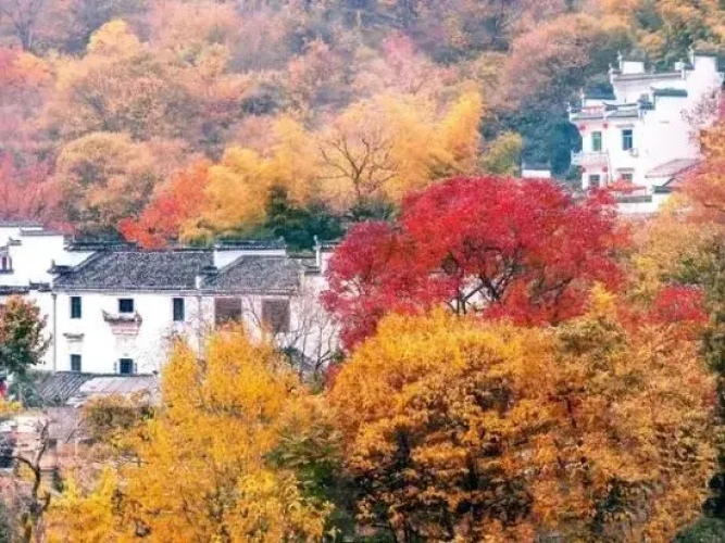 Xinyi Inn