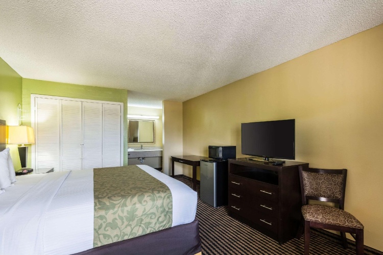 1 Bedroom Suite