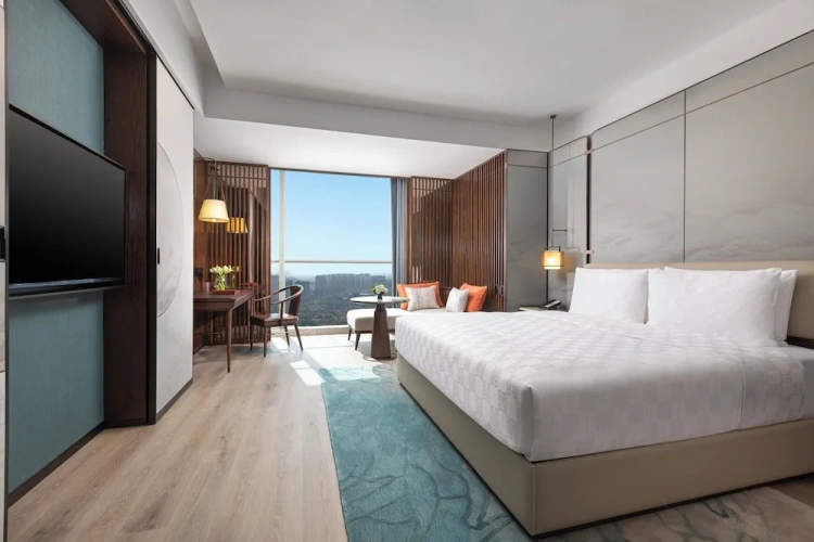 Standard Double room with city view