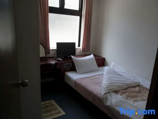 Standard Twin room with view
