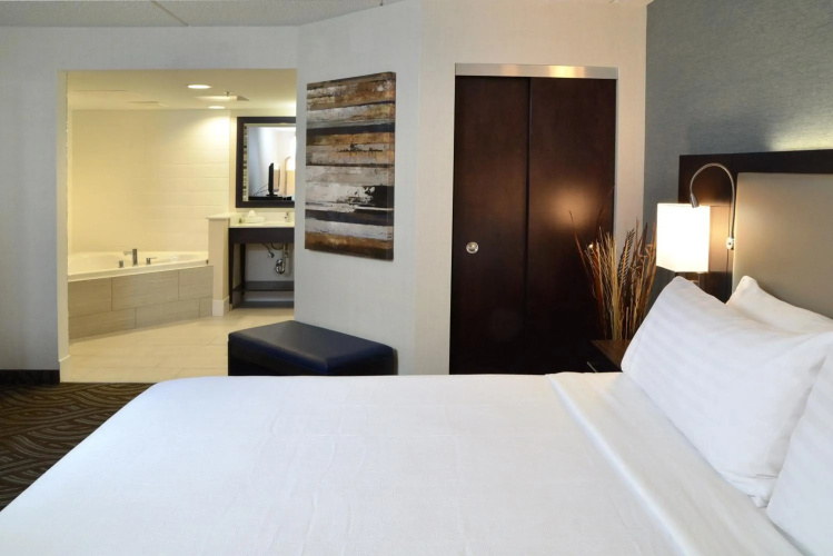 Holiday Inn Youngstown South by IHG