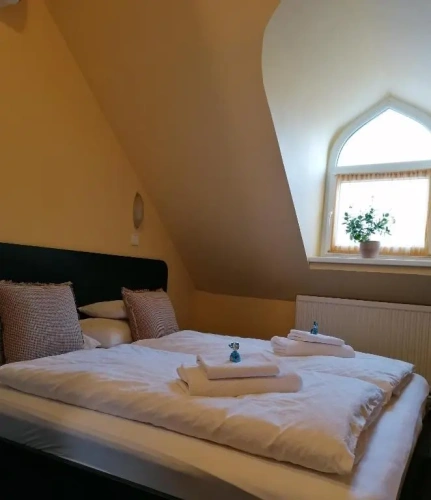 Standard Double room with balcony and with view