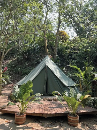 Tent