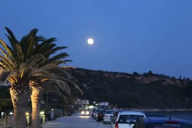 Rosa's ·Beach Studios·