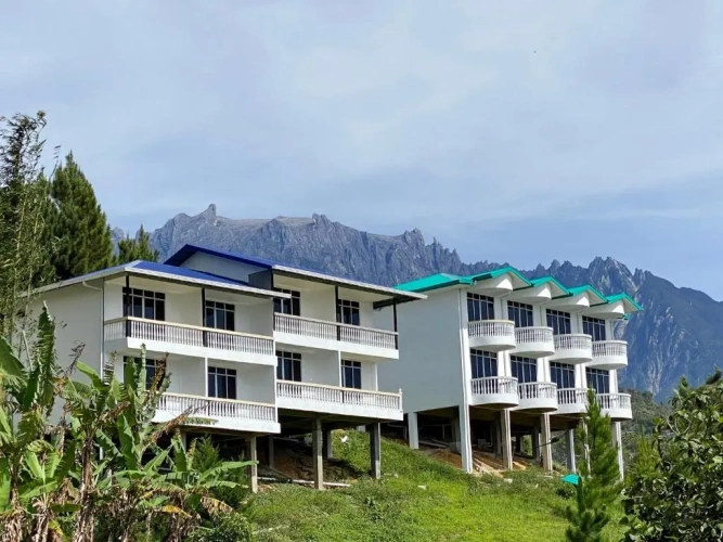 Superior Twin room with garden view
