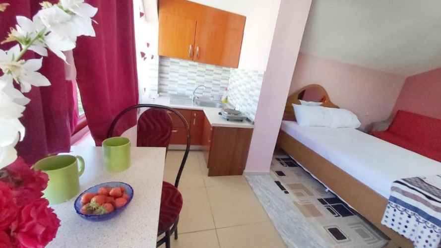 Standard Double room with garden view