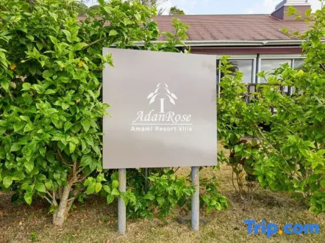 Villa AdanRose Amami