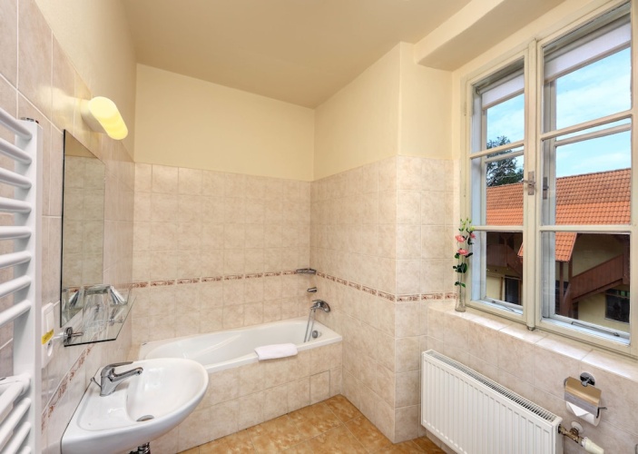 1 Bedroom Standard Double room with park view