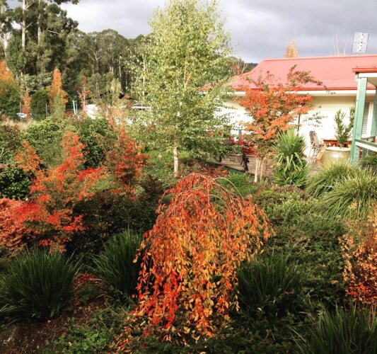 Balangara CottagesOver view