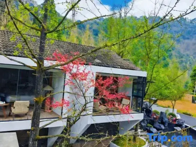 CLOUDS 13·Forest Hot Spring Resort