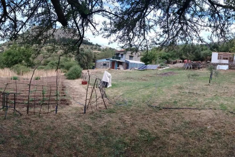 Ranch house #23#