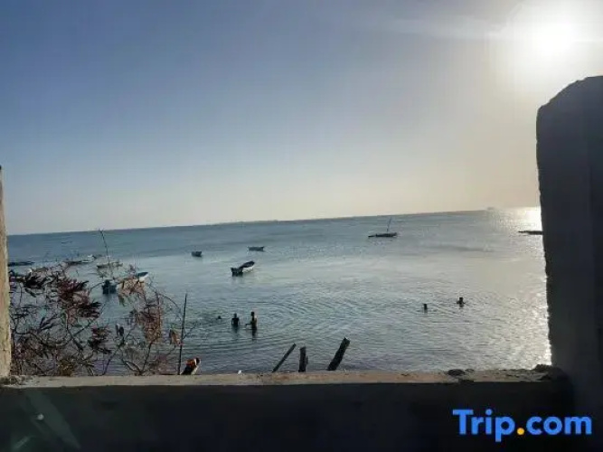 Mango Beach Hotel
