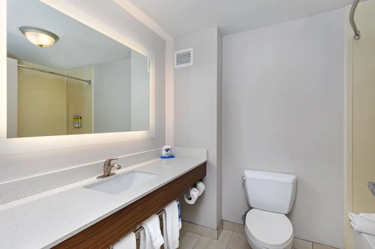 1 Bedroom Suite