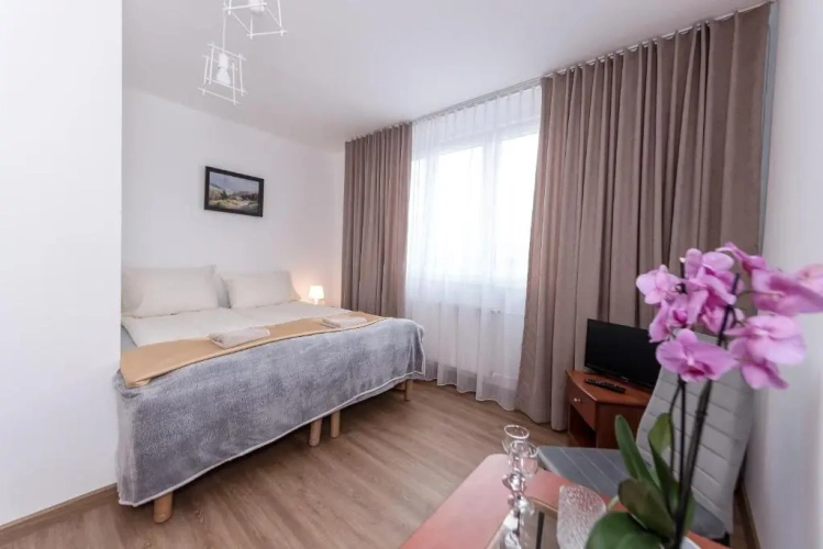 Superior Double room with mountain view