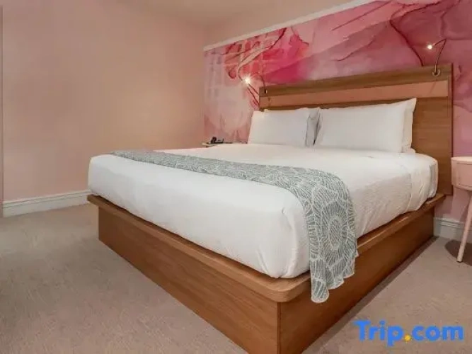 1 Bedroom Double Suite