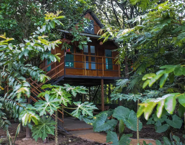 Hostal Caño Nevera
