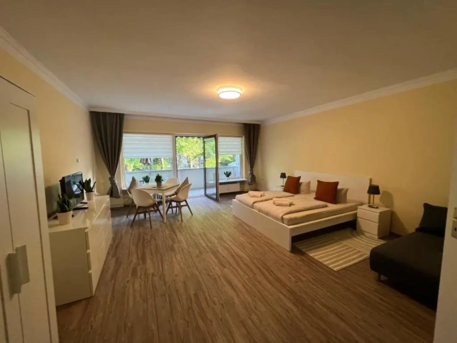 1 Bedroom Apartment
