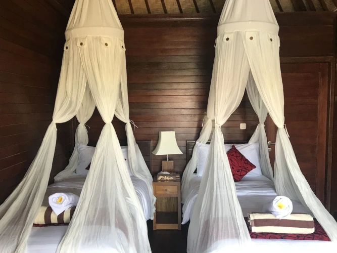 Deluxe Twin room with balcony and with view