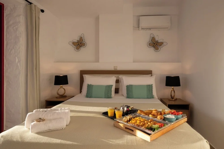 Basement Suite