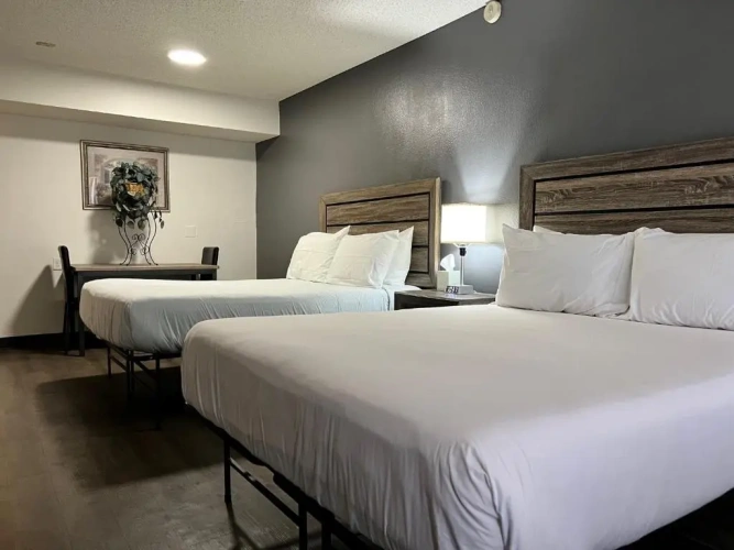 Standard Double room