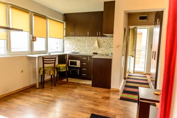 1 Bedroom Apartment with balcony and with view