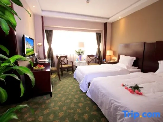 Comfort Triple Suite