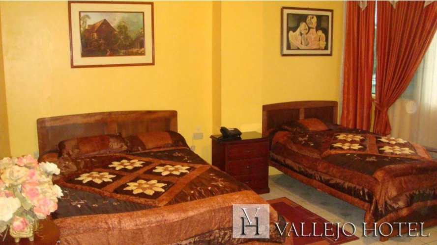 Standard Double room