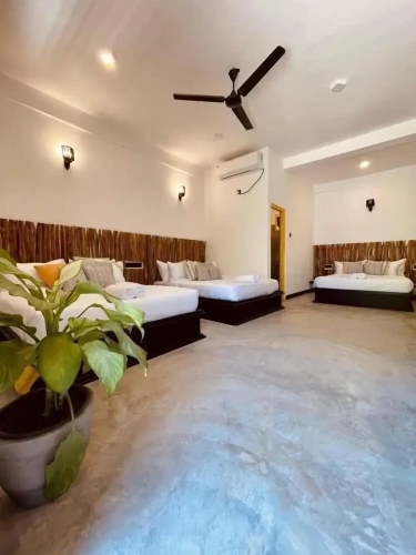 Standard Family room