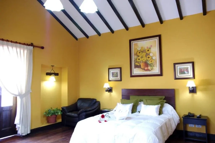 Standard Double room with balcony and with view