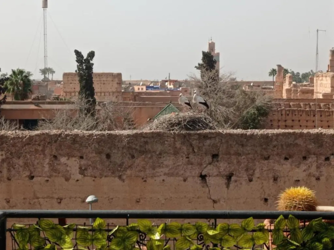 Stork Marrakech luxury Hostel