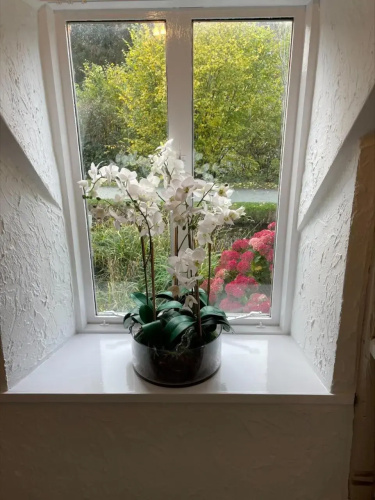 Penddol Cottage Llangollen