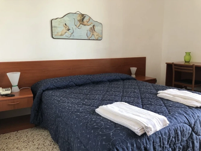 Standard Double room with balcony and with panoramic view