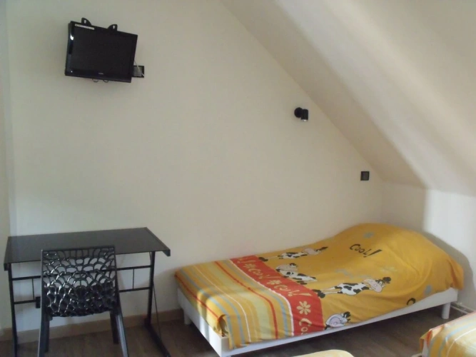 Standard Triple room