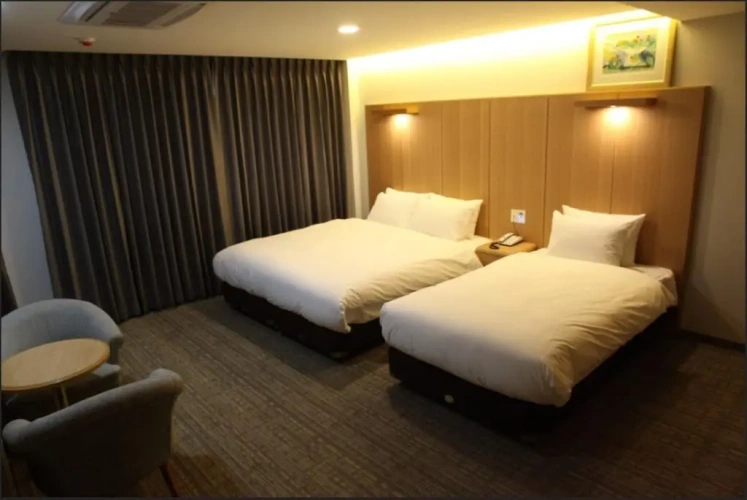 Standard Double room with city view