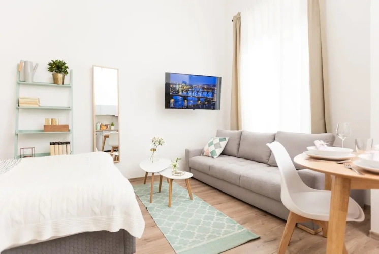 1 Bedroom Classic Apartment