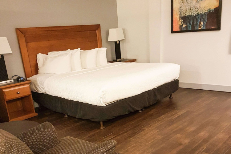 Quality Inn West Edmonton photo 8