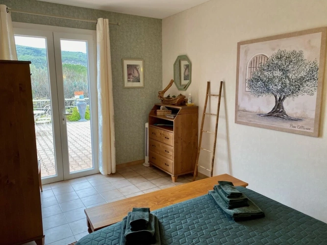 Standard Double room with pool view