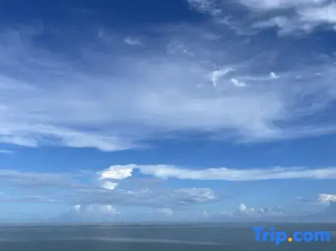 YURI Seaview Apartment