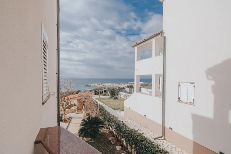 1 Bedroom Classic Apartment