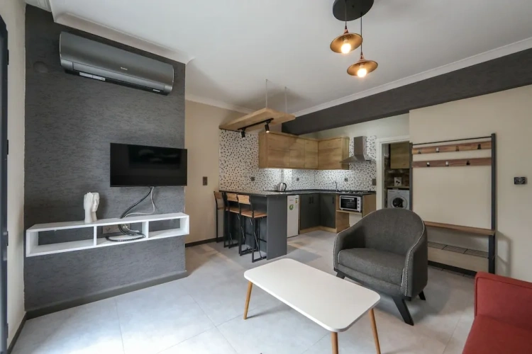 Deluxe Apartment