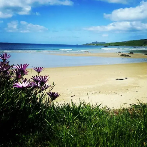 Kaka Point Luxury Spa Accommodation
