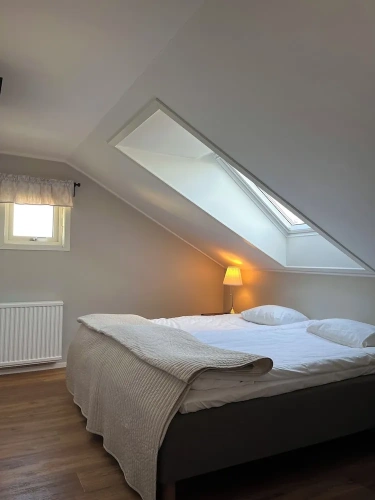 Standard Double room with balcony and with sea view