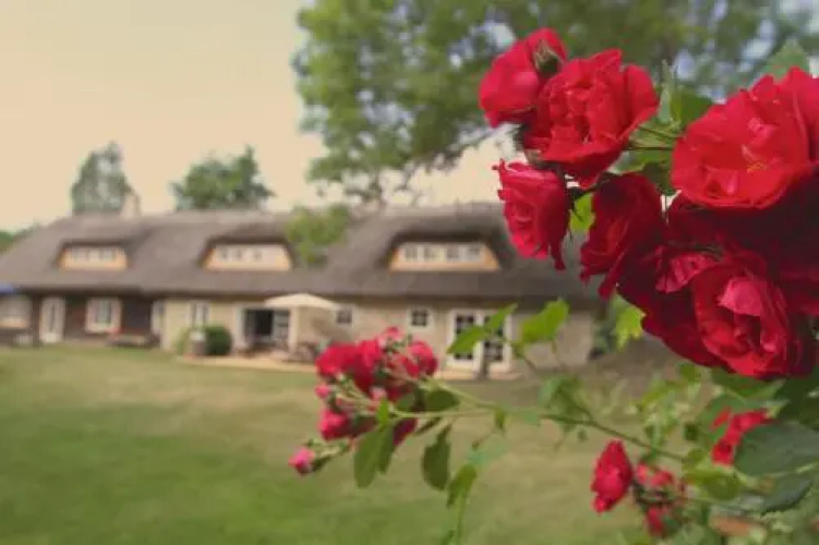 Metsara B & B